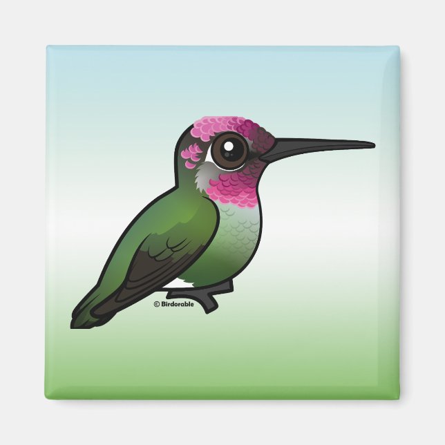 Anna's Hummingbird Magnet (Front)
