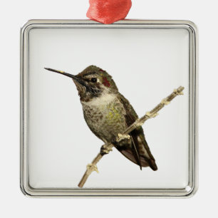 Anna's Hummingbird Metal Tree Decoration