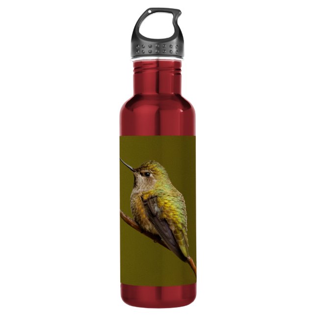 Anna's Hummingbird on a Branch 710 Ml Water Bottle (Front)