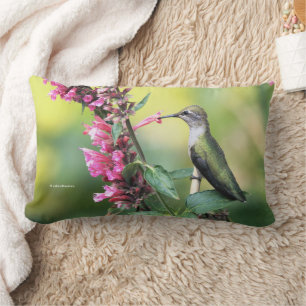 Anna's Hummingbird on Anise Hyssop Flowers Lumbar Cushion