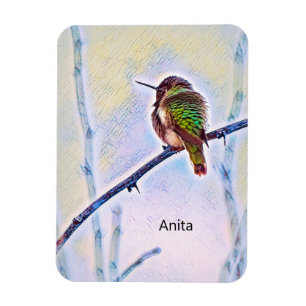 Anna's Hummingbird On Branch Pastel Colours Magnet