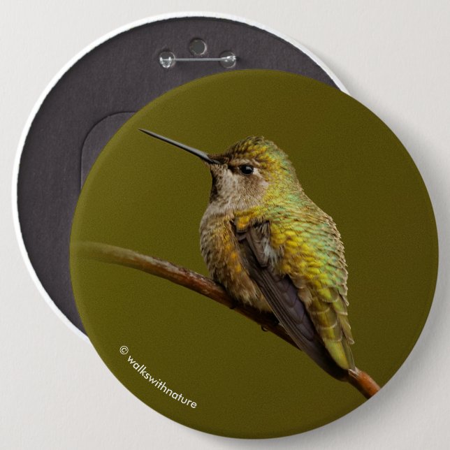Anna's Hummingbird on Scarlet Trumpetvine 6 Cm Round Badge (Front & Back)