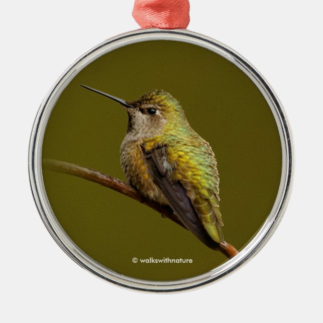 Anna's Hummingbird on Scarlet Trumpetvine Metal Tree Decoration (Front)
