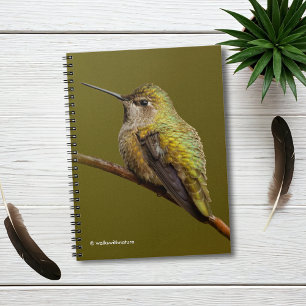 Anna's Hummingbird on Scarlet Trumpetvine Notebook