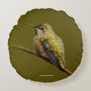 Anna's Hummingbird on the Scarlet Trumpetvine Round Cushion