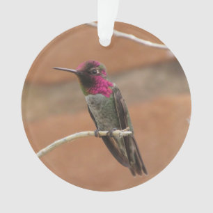 Anna's Hummingbird Ornament