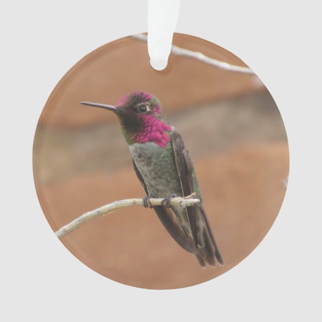 Anna's Hummingbird Ornament (Front)