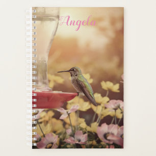 Anna's Hummingbird personalised planner