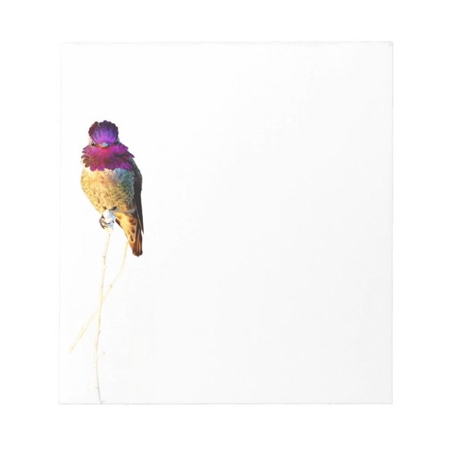 Anna's Hummingbird Photo Notepad (Front)