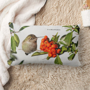 Anna's Hummingbird Poses with the Pyracantha Lumbar Cushion