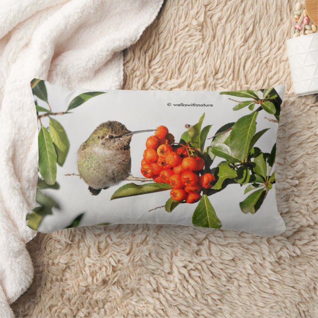 Anna's Hummingbird Poses with the Pyracantha Lumbar Cushion (Blanket)