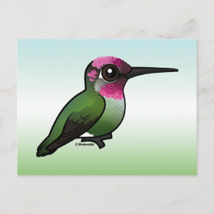 Anna's Hummingbird Postcard