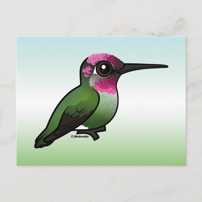 Anna's Hummingbird Postcard (Front)