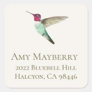 Anna's Hummingbird return address Square Sticker