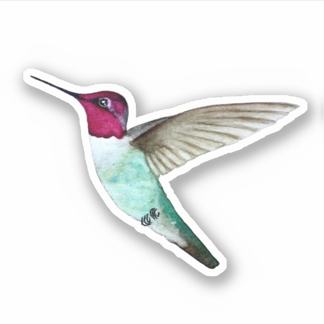 Anna's Hummingbird  Sticker (Front)