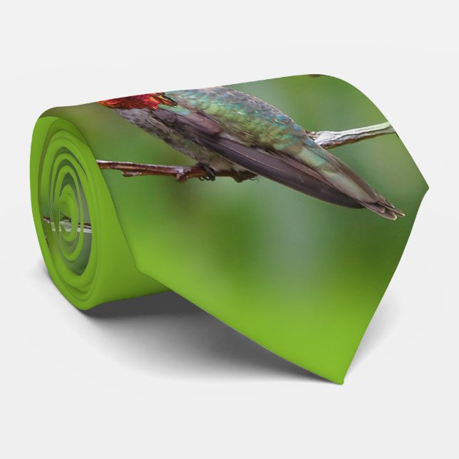 Anna's Hummingbird: This King Wears a Pink Crown Tie (Rolled)