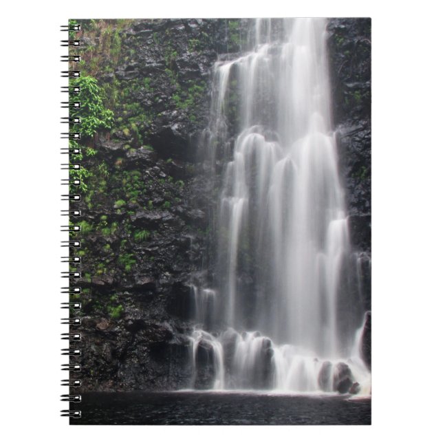 "Anna's Pond" Notebook (Front)