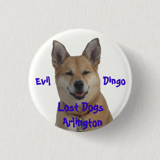 annie1234, Lost Dogs Arlington, Evil ... 3 Cm Round Badge