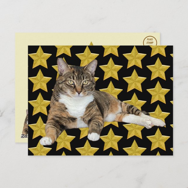 Annie's Star : Cat Postcard (Front/Back)