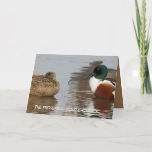 Anniversary card featuring Shoveler ducks