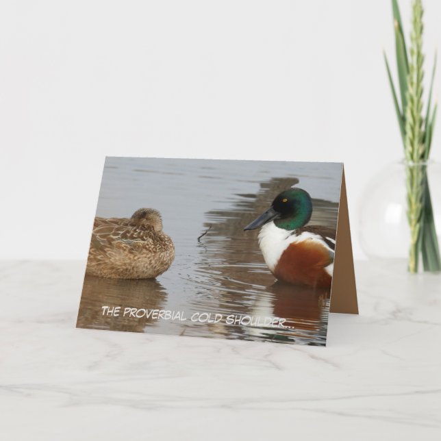 Anniversary card featuring Shoveler ducks (Front)