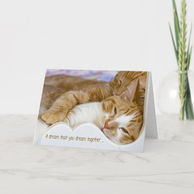 Anniversary Cats for Couple Card (Front)