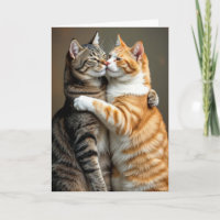 Anniversary Cats Hugging