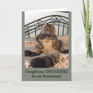 Anniversary Chocolates Kimber Cat Anniversary Card