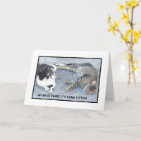 ANNIVERSARY CONTENTMENT/TWO SLEEPY CATS/ HUMOR