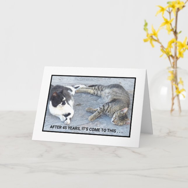 ANNIVERSARY CONTENTMENT/TWO SLEEPY CATS/ HUMOR CARD (Yellow Flower)