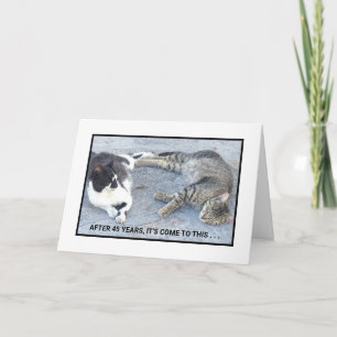 ANNIVERSARY CONTENTMENT/TWO SLEEPY CATS/ HUMOR CARD