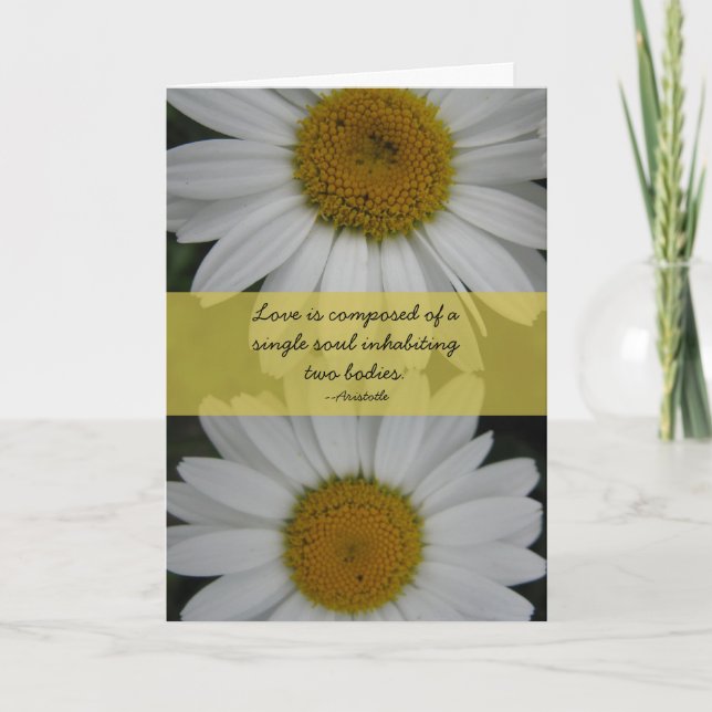 Anniversary--Daisies, Aristotle Quote Card (Front)
