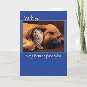 Anniversary, Dog and Kitten Card