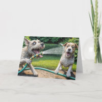 Anniversary Humour Dog With Hose