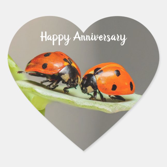 Anniversary Ladybugs Heart Stickers (Front)