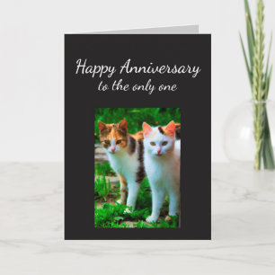 Anniversary Loved One Cat Humour Card