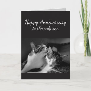 Anniversary Loved One Cat Humour Card