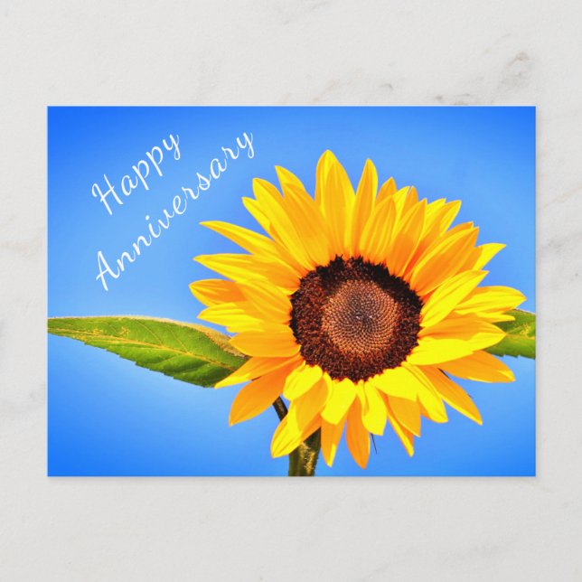 Anniversary Postcard Yellow Sunflower on Blue Sky (Front)