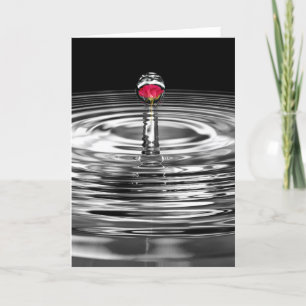 anniversary rose in water droplet card