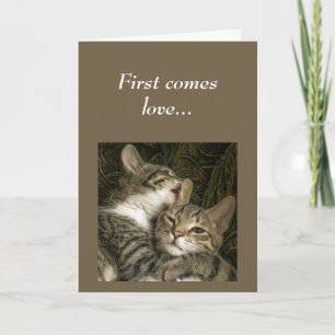 Anniversary to the ONE I LOVE Cats Humour Card