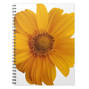 Annotation art artistic notebook