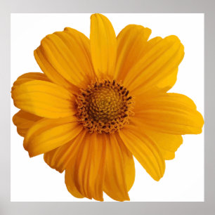 Annotation art artistic poster