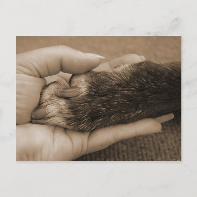 Announcement of new family member postcard (Front)