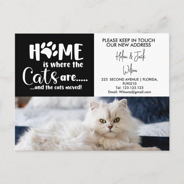 Announcement Postcard CAT (Front)