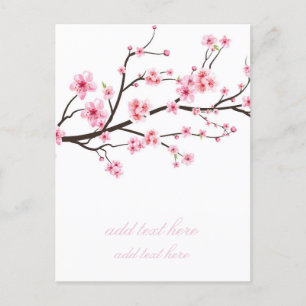 ANNOUNCEMENT POSTCARD : SAKURA BLOSSOMS