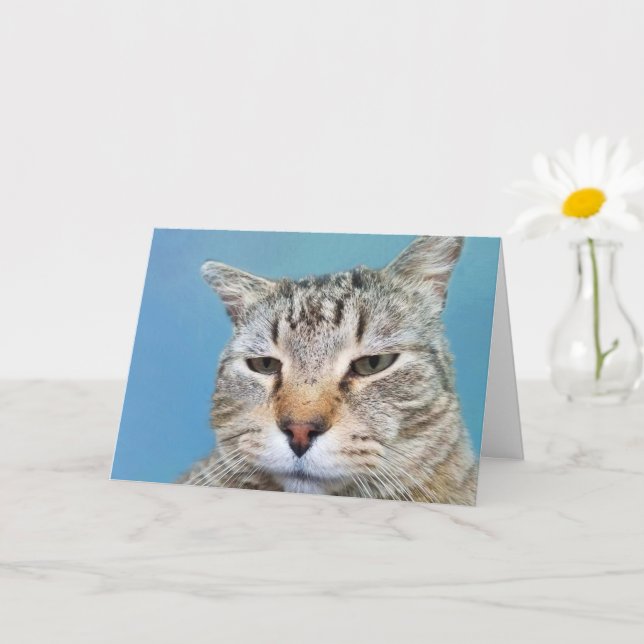 Annoyed Cat Cancer Encouragement Card (Small Plant)