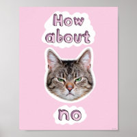 Annoyed Cat