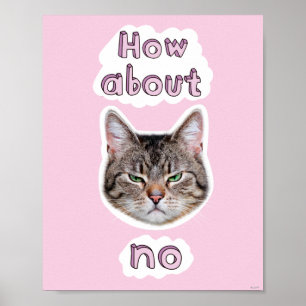 Annoyed Cat Poster