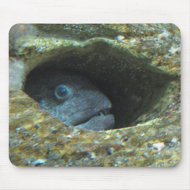 Annoyed fish mouse mat (Front)
