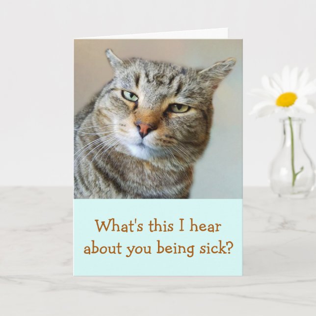 Annoyed, Worried, Concerned Cat Get Well Card (Small Plant)
